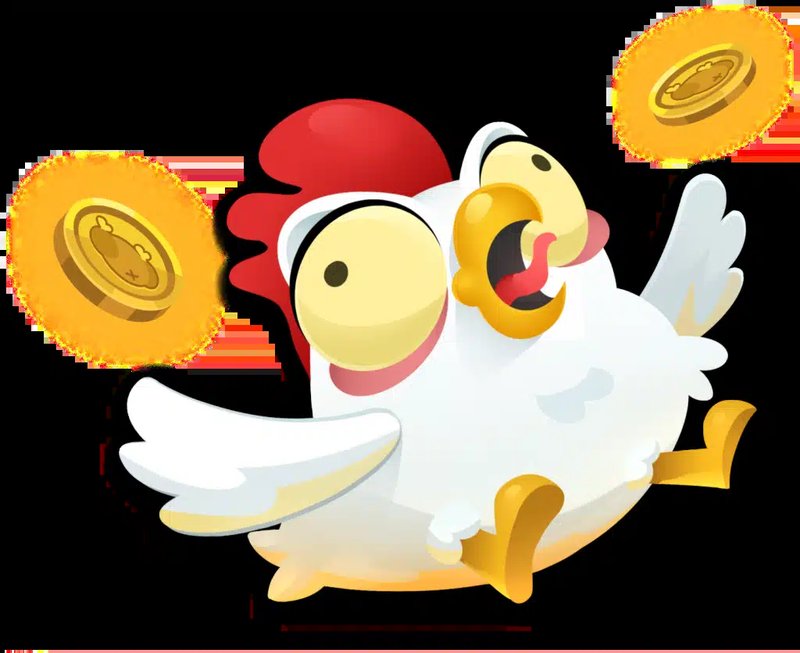 A look at chicken road oficial
